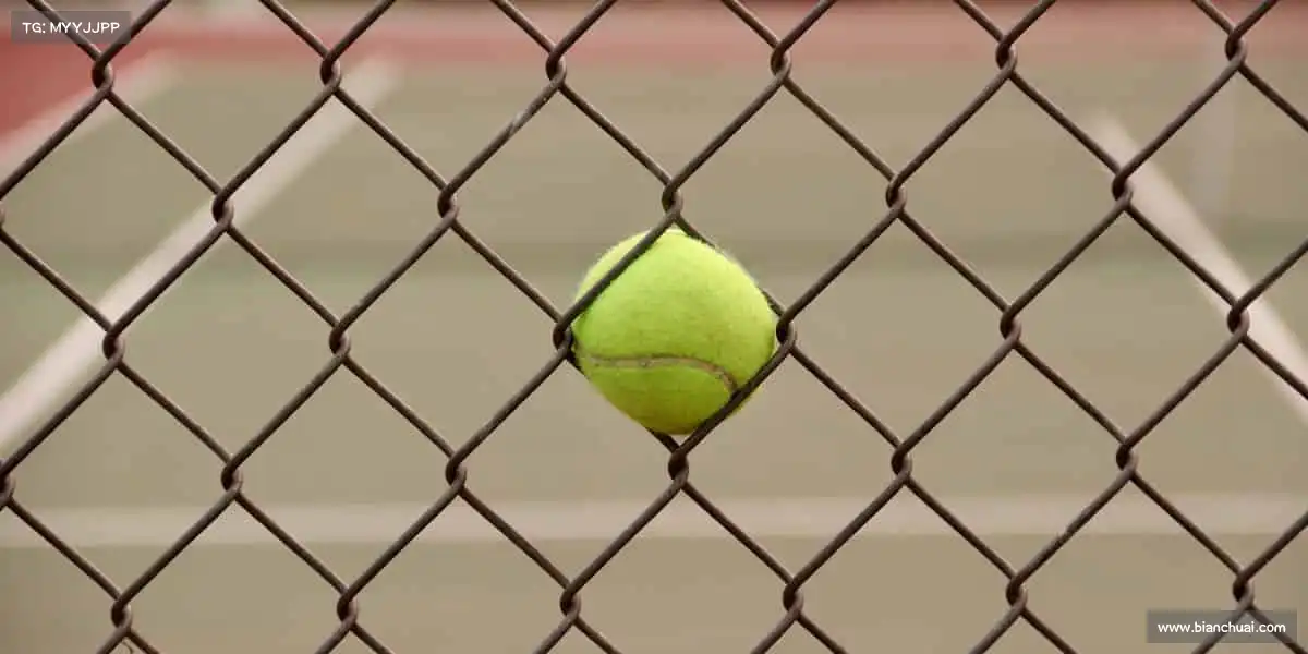 乐虎lehu唯一官网——全民动起来,共筑体育梦!🌟